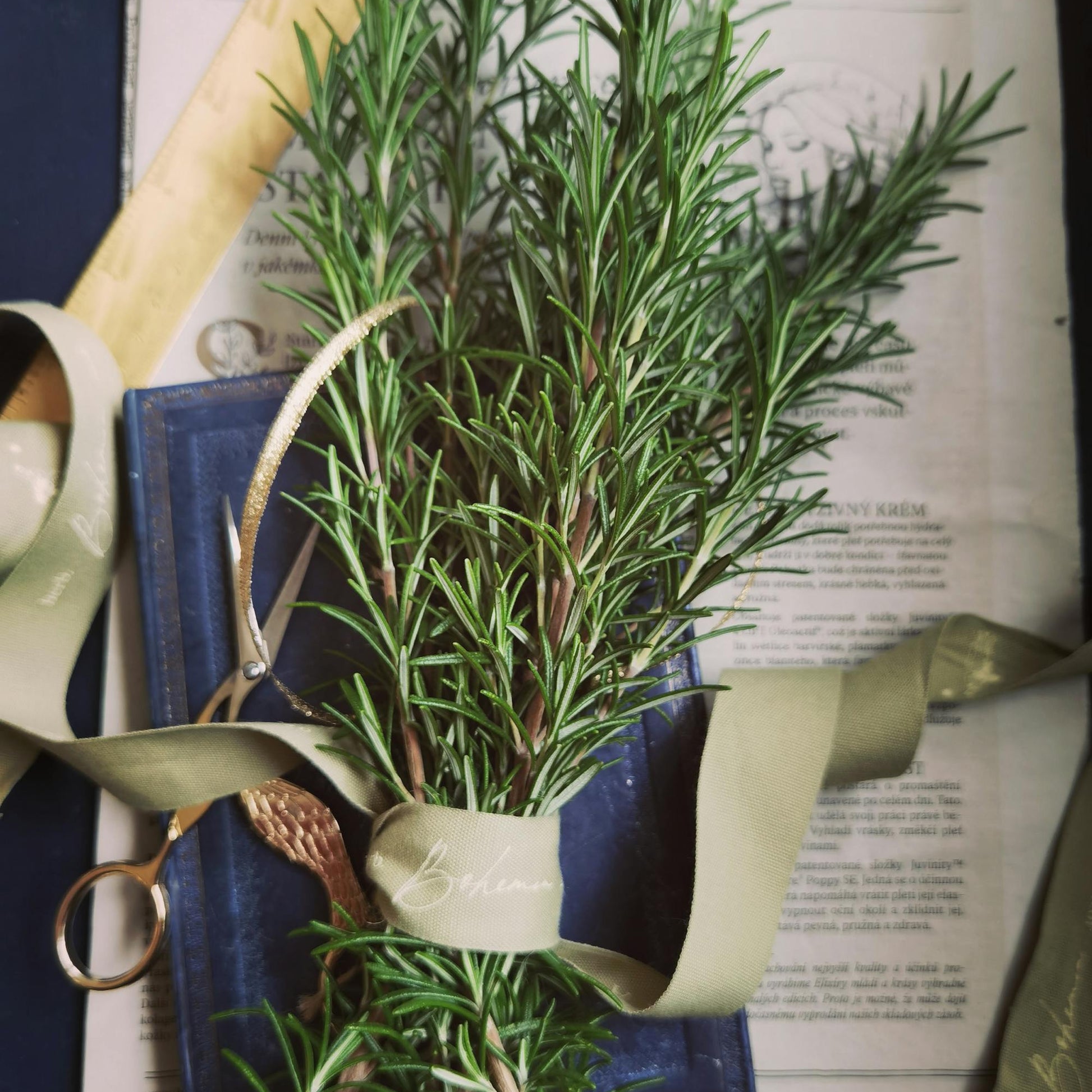 Ciseaux à herbes - herbes fraîches et ciseaux